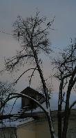 IMG_2756.jpg
