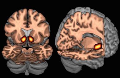 Описание: http://www.gzt.ru/f/upload/picture/10/03/15/image_19198.jpg