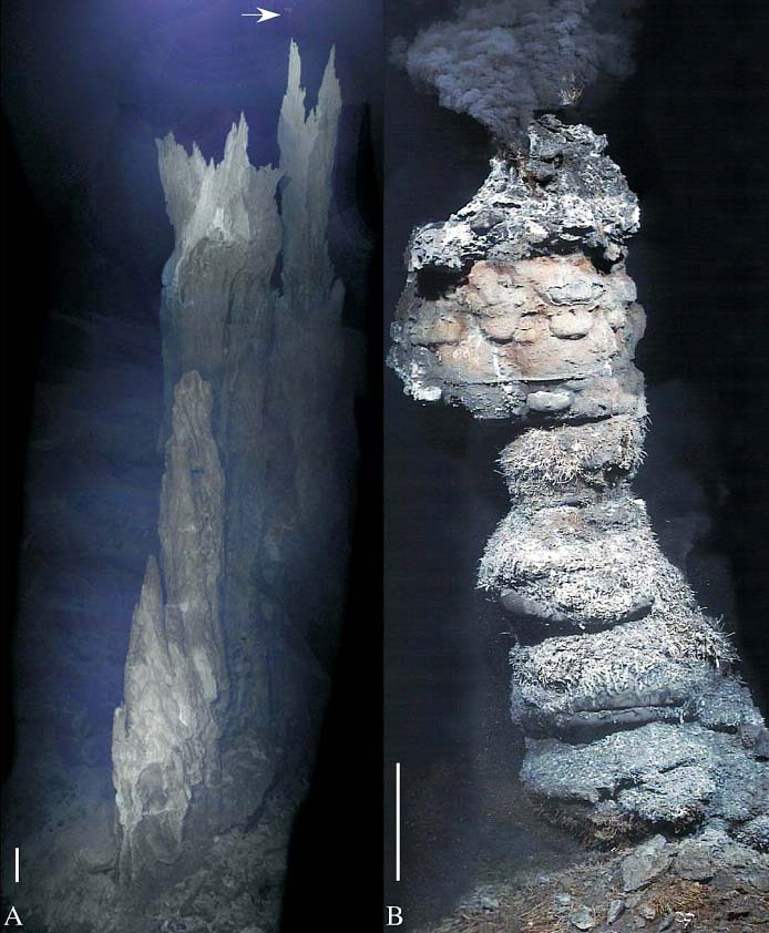 Чёрные и белые курильщики