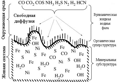 Двумерные ЖС