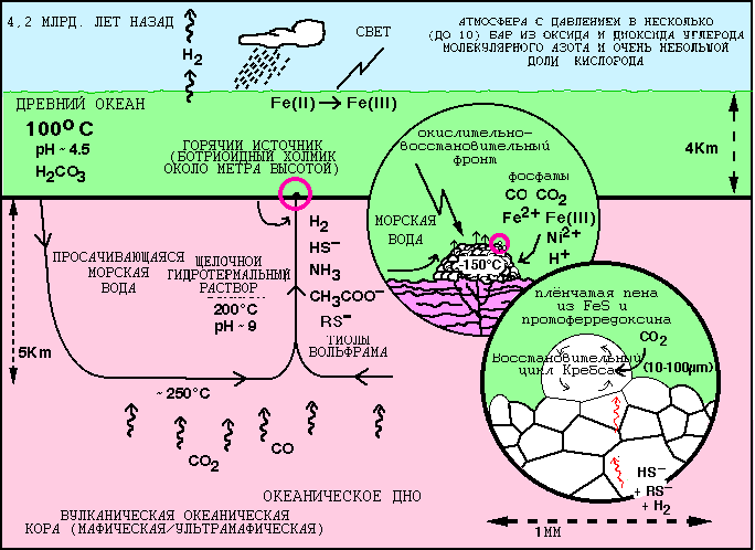 Минералы и первые организмы