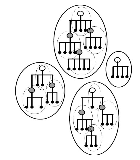 Связь между семействами и суперсемействами белков с исходными предковыми генами