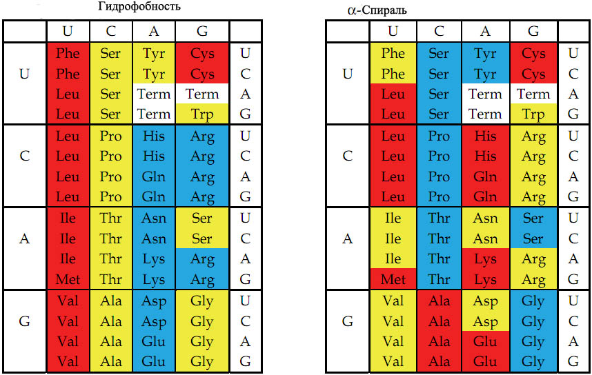 Гидрофобность и альфа-спирали.