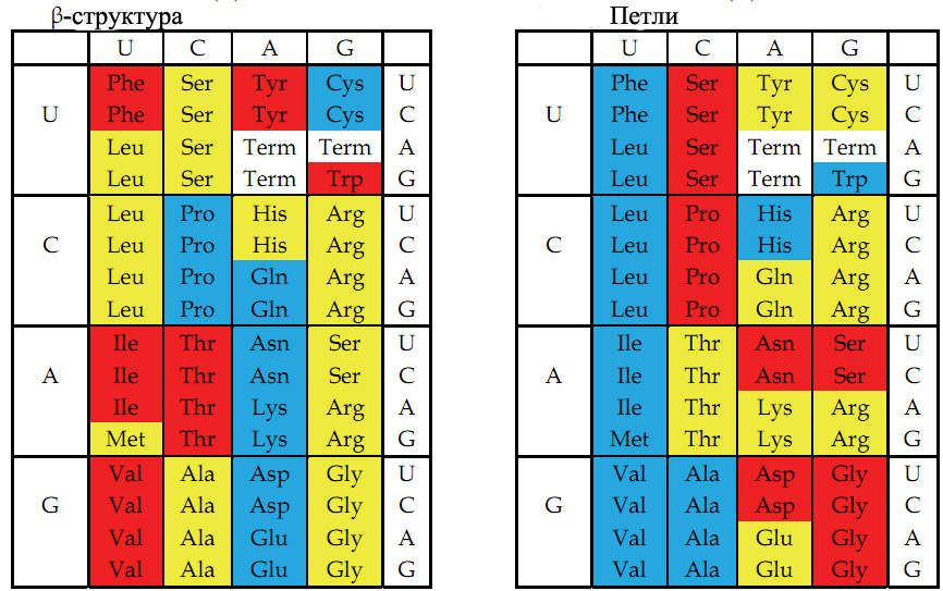 Способность аминокислот к образованию складок и петель