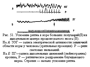 :  
. 51.       ()       ().
 :           ( ).     .
 : ×   () ,      -.     

