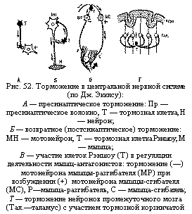 :  
. 52.      ( . ):
   :   - ,    ,   ;
   () :
  ,     ,   ;
     ()   - -:  ()  - ()   (+)  - - (), З-,   -;       (.)      ()
