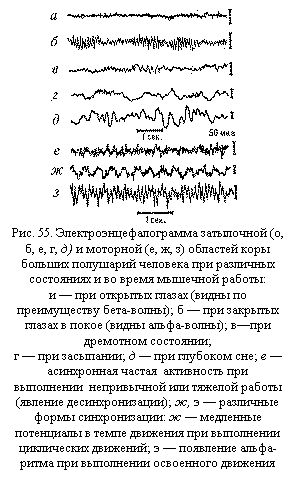 :  
. 55.   (, , , , )   (, , )             :
     (  - -);        ( -);   ;
   ;     ;        -      ( ); ,     :           ;    -    

