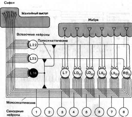 tmp6E-49.jpg