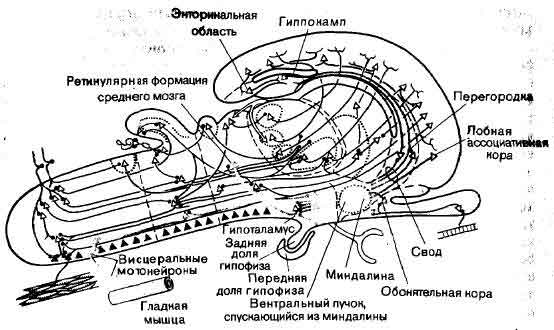 tmp6E-64.jpg