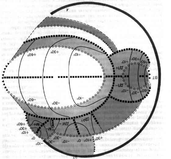 tmp6E-159.jpg