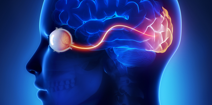 Нейронные сети Нейронные сети